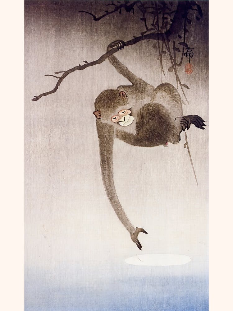Monkey Catching Reflection Of The Moon, 1927, Ohara Koson