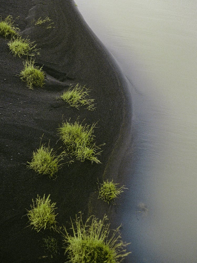Abstract Black Sand Beach