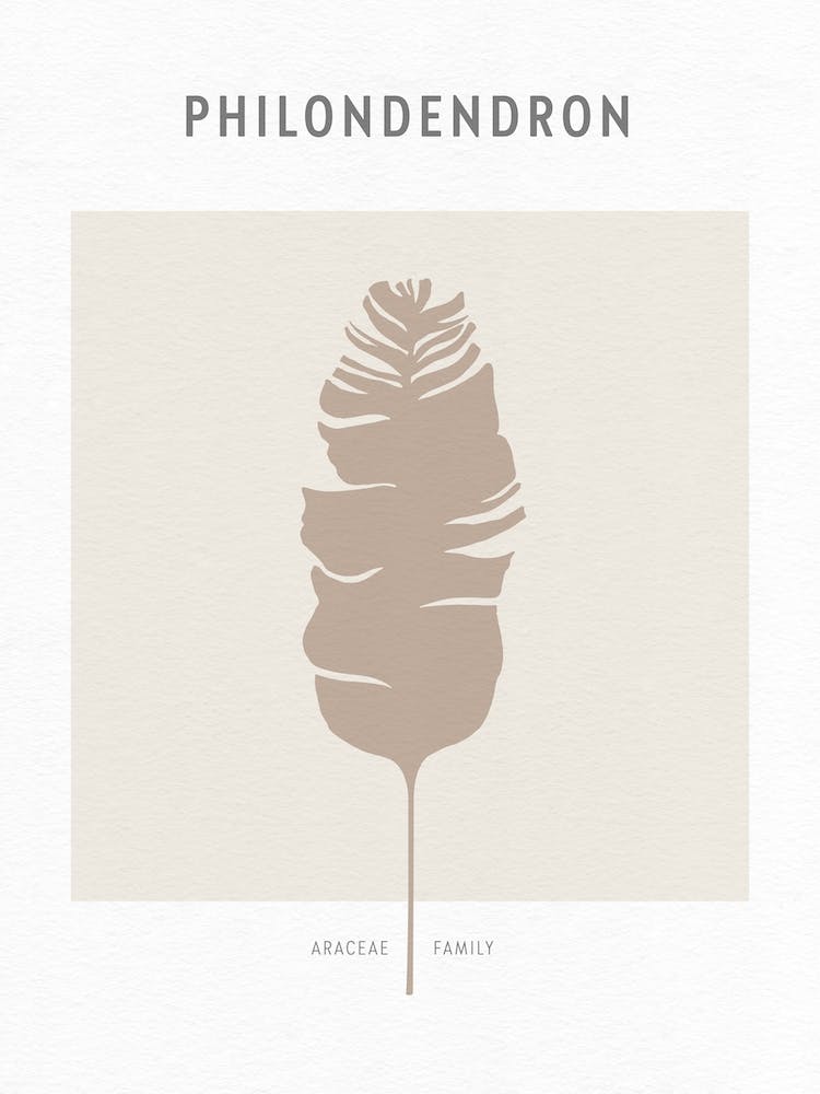 Feuilles Boho 1 Philodendron