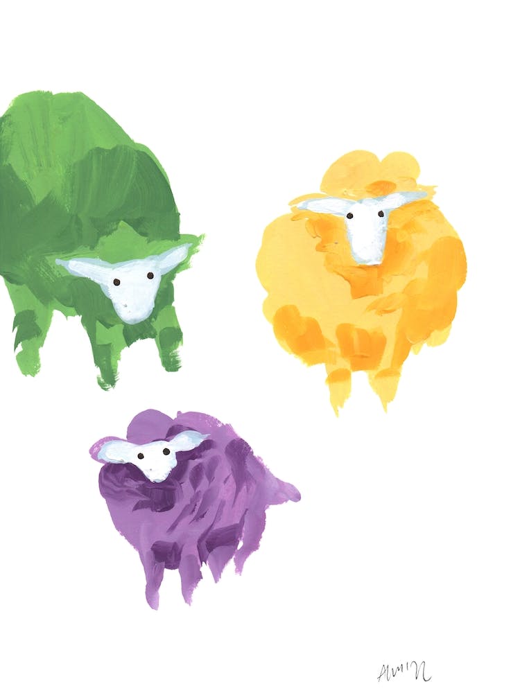 Sheep Triplets