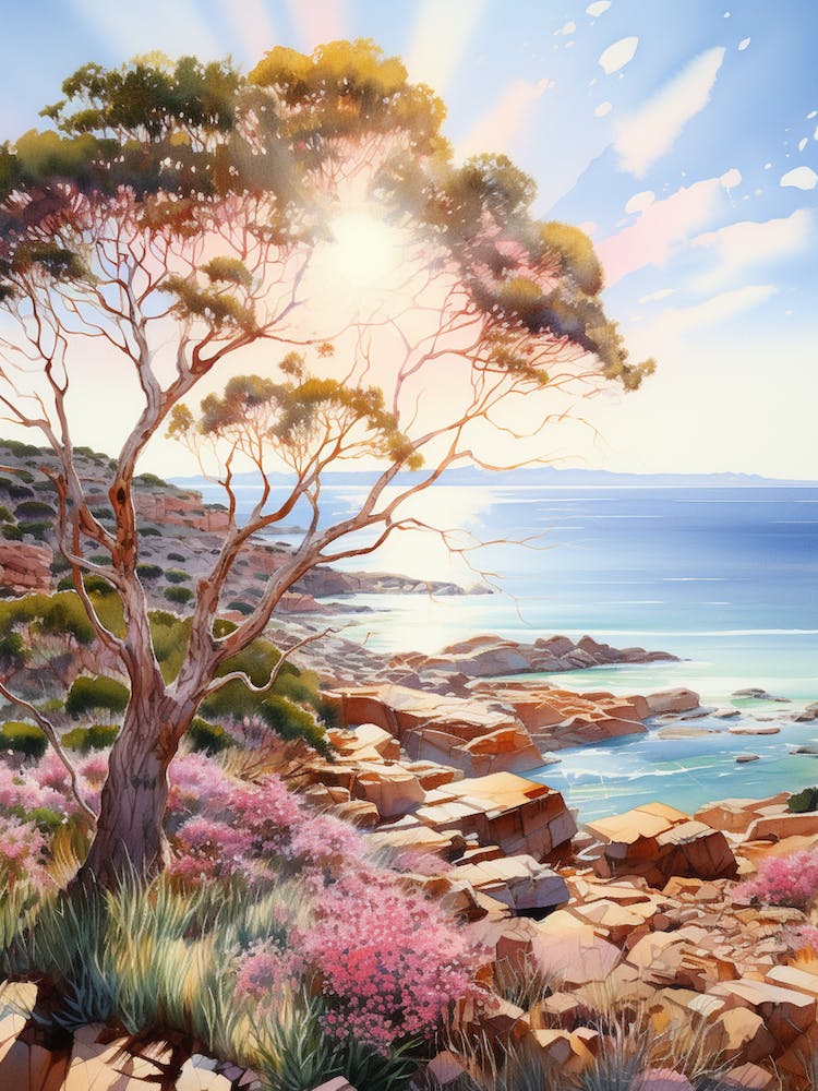Watercolor Painting Of Cape Le Grand National Park, Australia 1