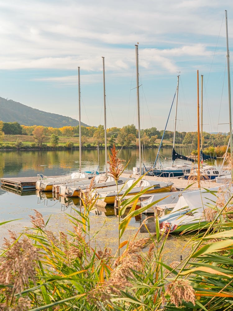 Sailboats On A Lake