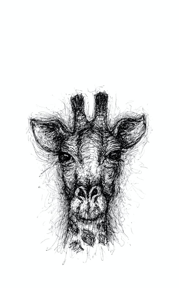 Scribble Giraffe