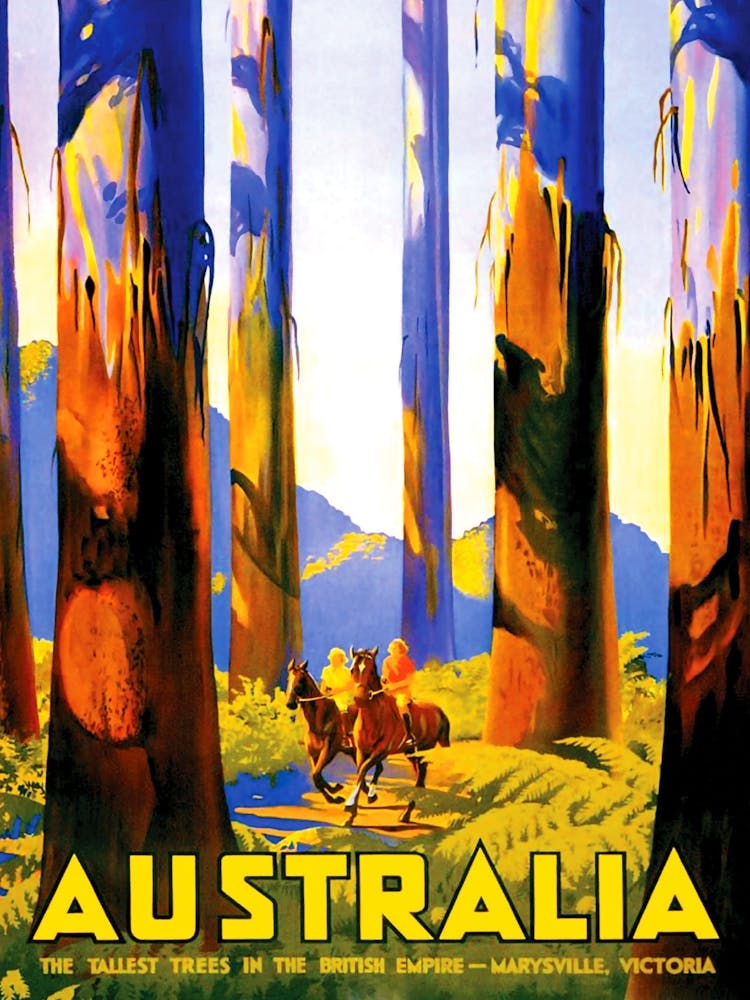 Australia, The Tallest Trees In The British Empire