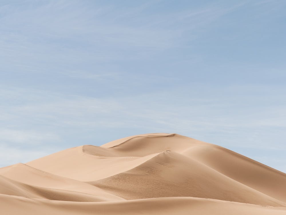 Sahara Sand Dune