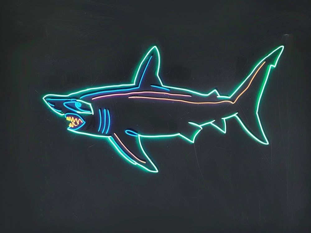 Aqua Hammerhead Shark 1