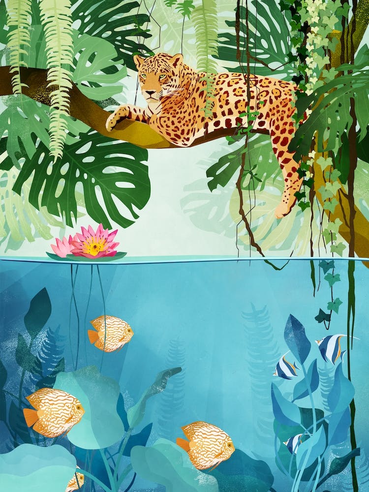 Welcome to the Jungle