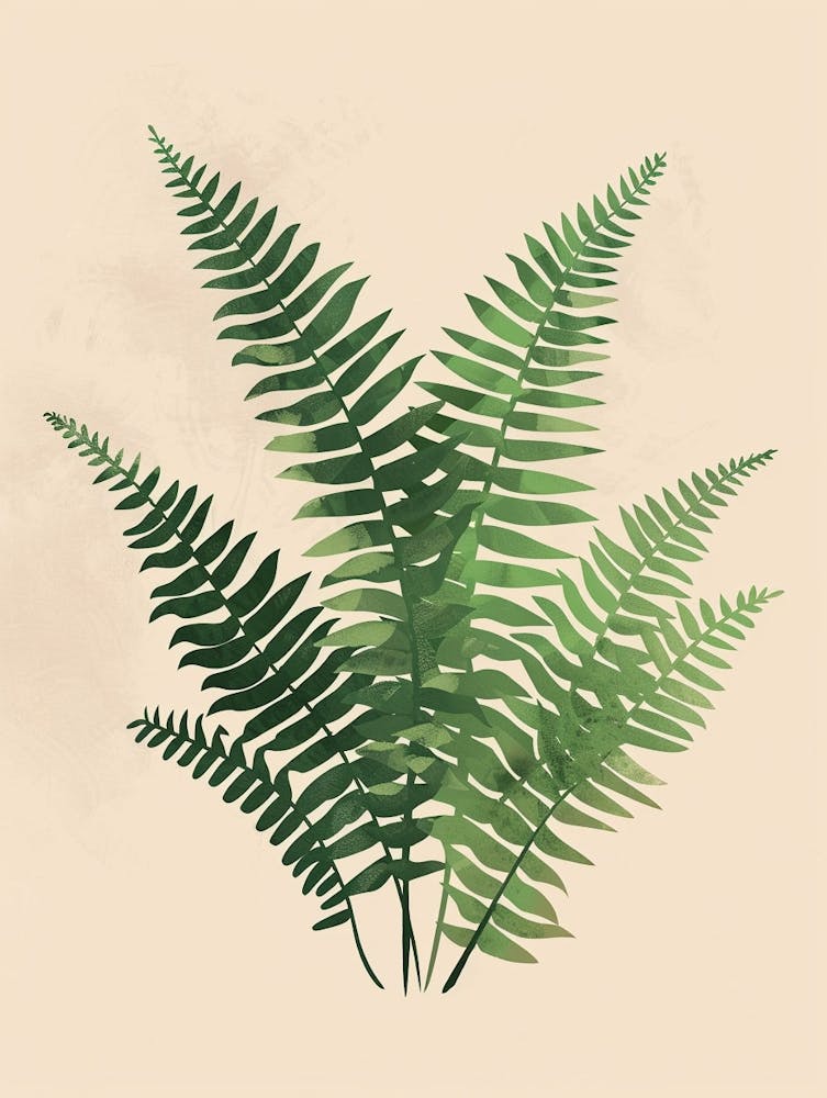 Illustration Minimaliste de Fougère de Boston 5