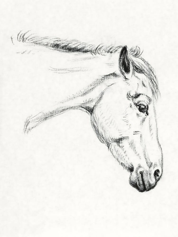 Head Of A Horse 1, Jean Bernard