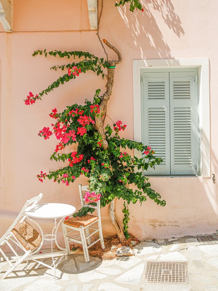 Greek Island Summer Shutters