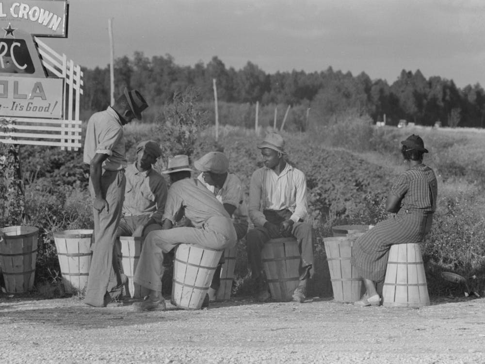Untitled Photo, Possibly Related To String Bean Pickers Waiting Along Highway For Trucks To Pick Them Up, Ne