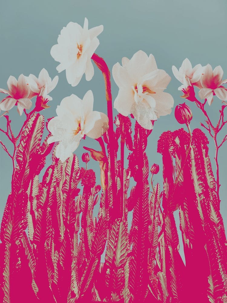 Red Baby Blue Botanical Collage