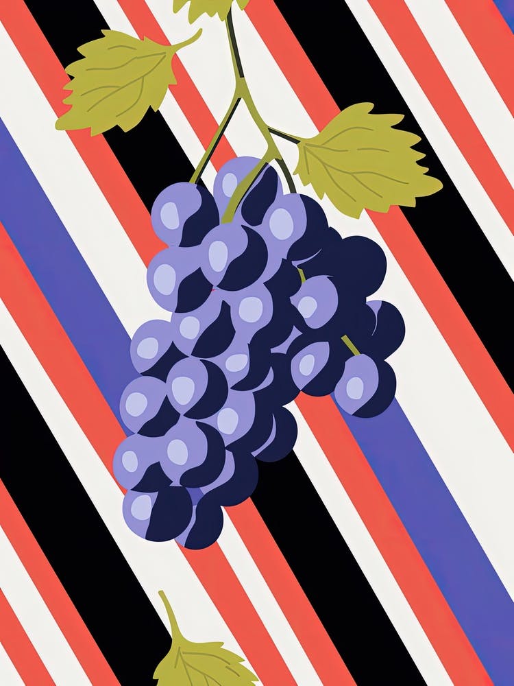Grapes Fruit Summer Illustration 2
