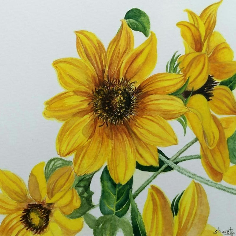 Sunflowers