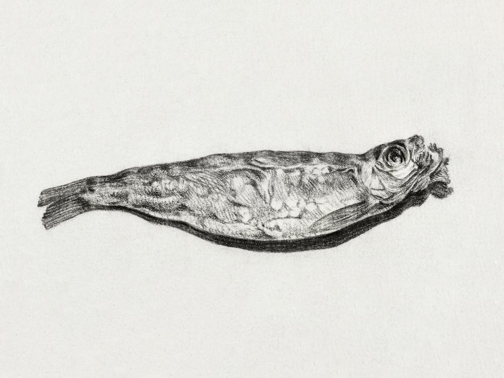 Sprat By Candlelight, Jean Bernard