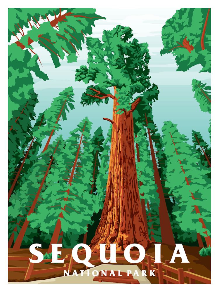 Sequoia National Park Vintage Travel Poster