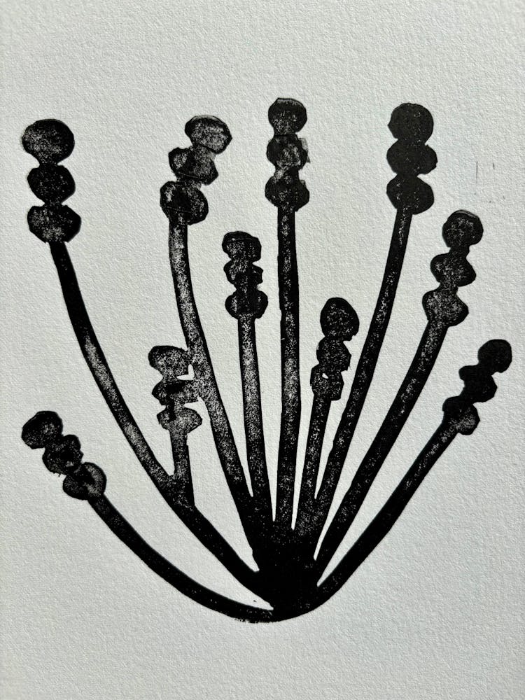 Daffodils