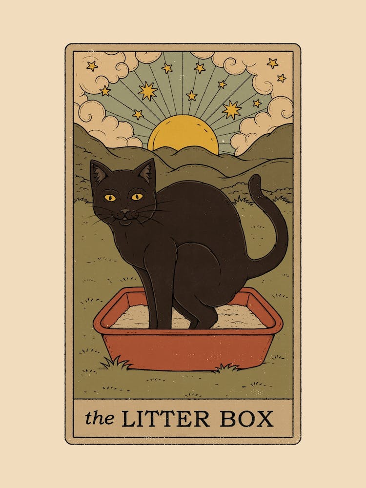 The Litter Box