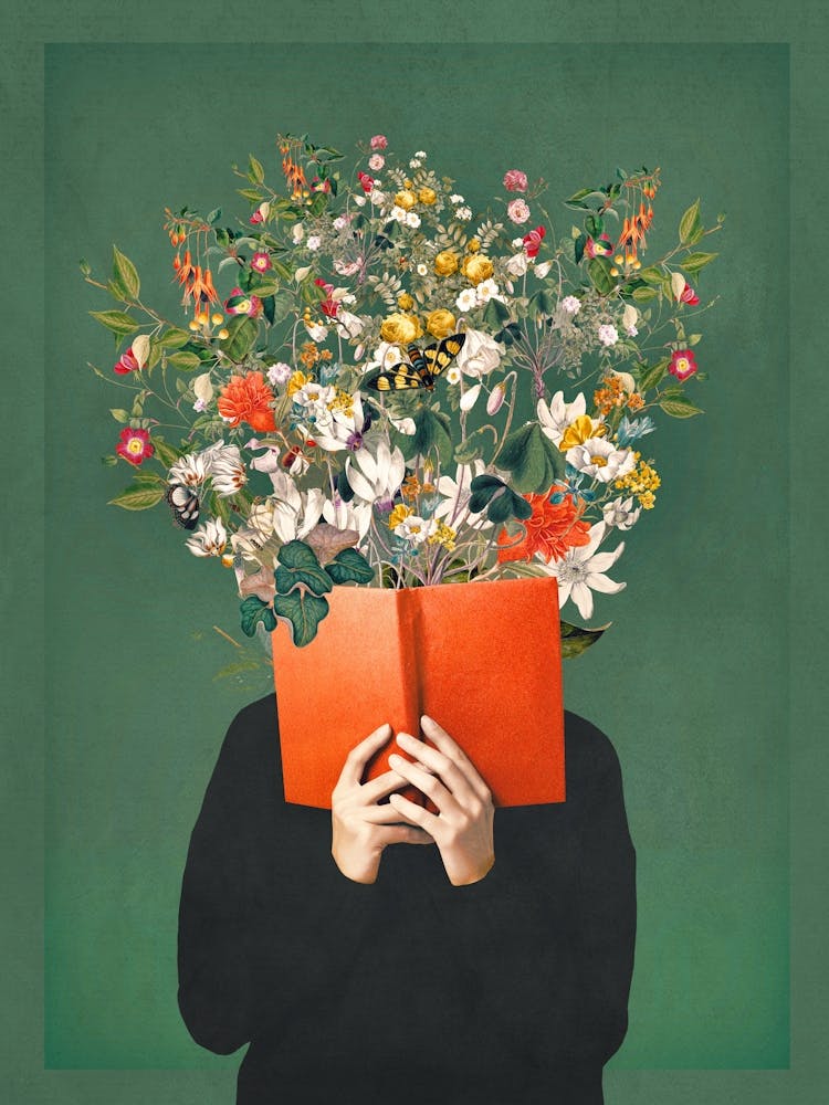 The Dreamer