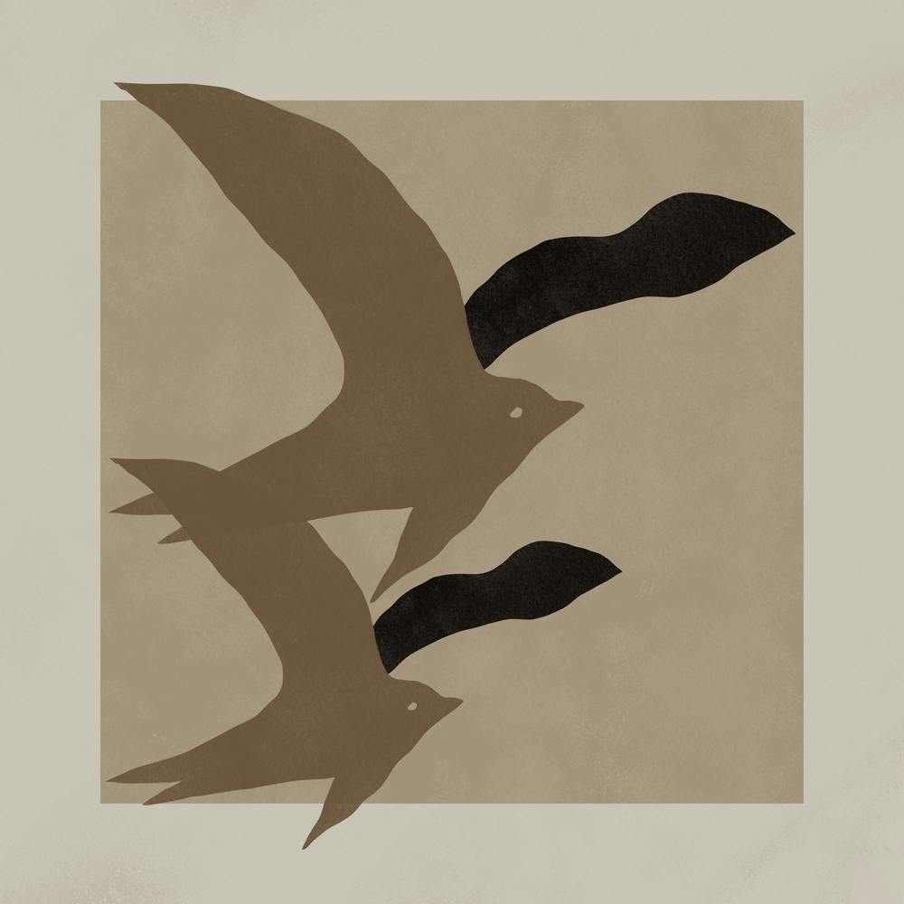 Two Birds In Flight
