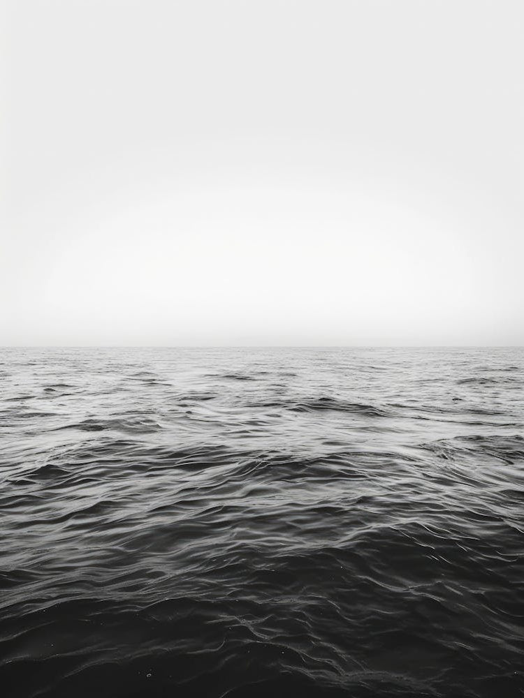 Ocean In Black And White 1