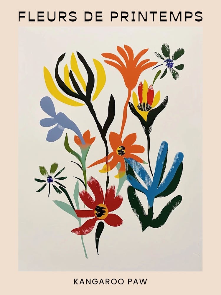 Spring Floral French Poster  Kangaroo Paw 2