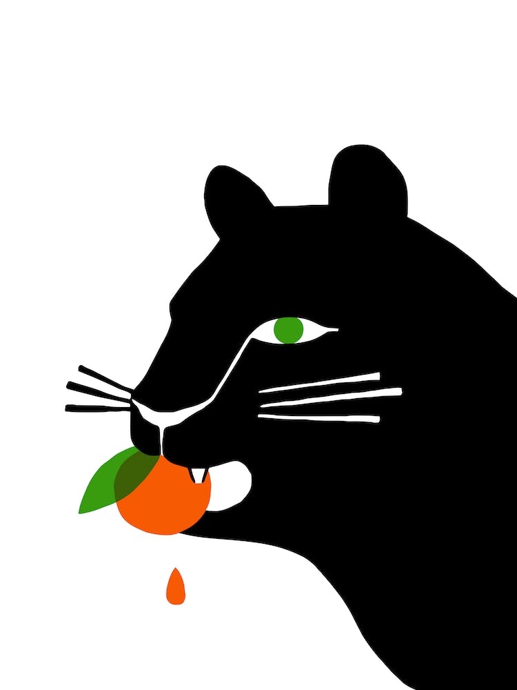 Big Cat Eating An Orange