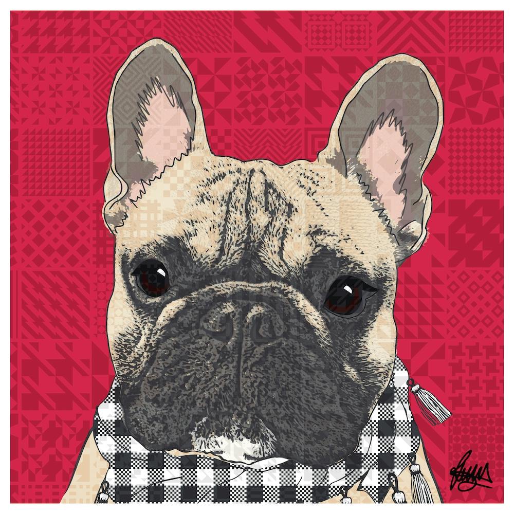 Eroc Frenchbulldog Square