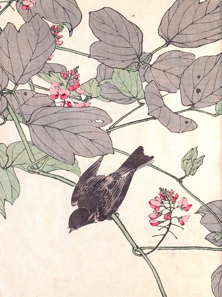 Bird Perched On A Branch 4