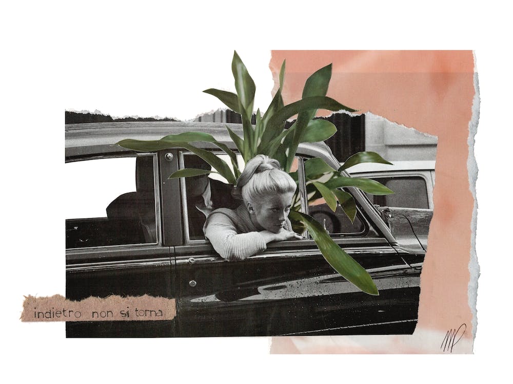 Indietro Non Si Torna