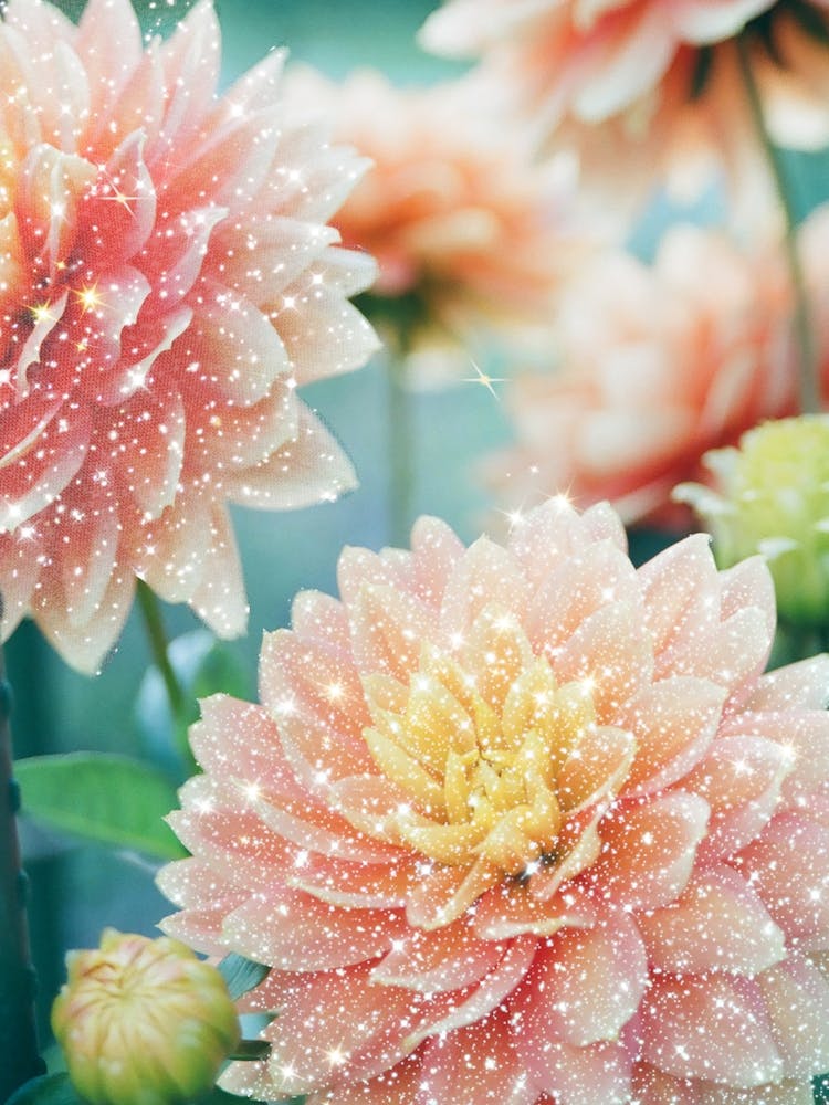 Glitter Peonies