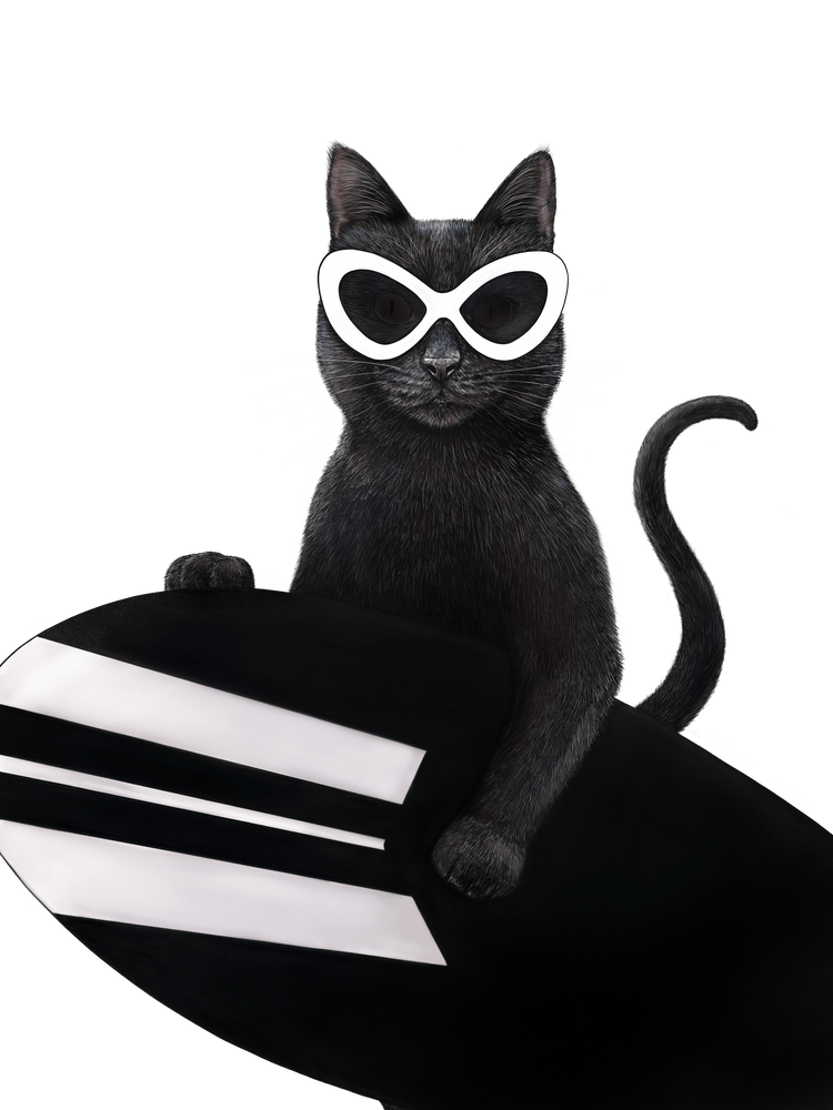 Cat Surfer