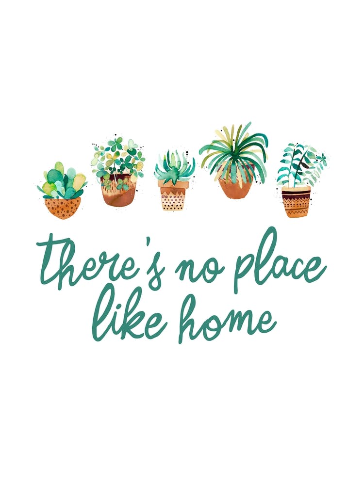 There Is No Place Like Home   Succulent Plants Pots