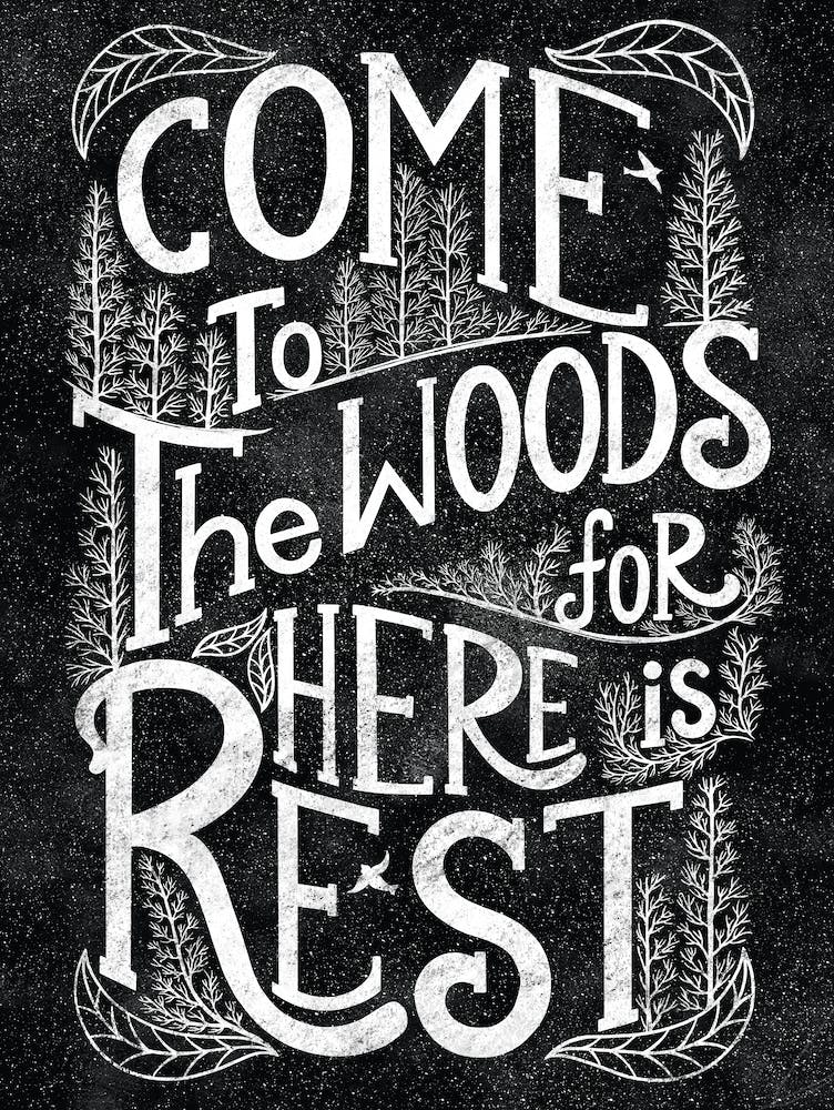 Come To The Woods For  Here Is Rest