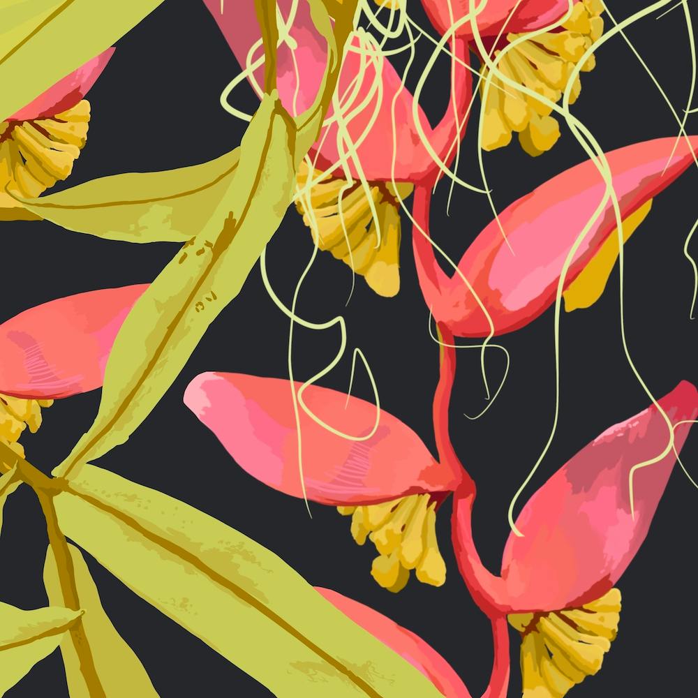 Heliconia On Blue Square