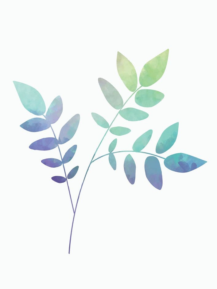 Watercolor Botanical