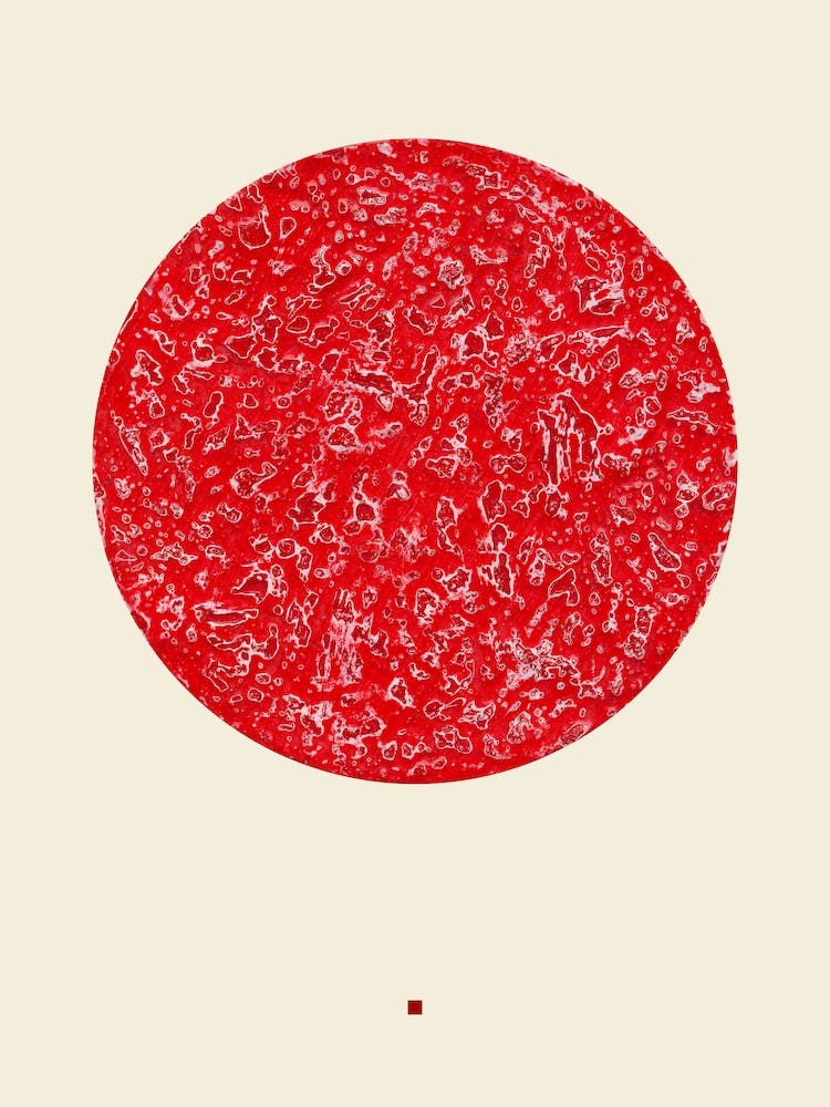 THE CIRCLE N°08 1