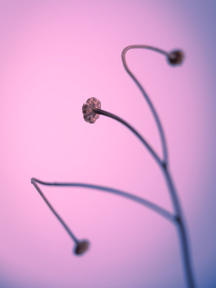 In light of current events VI