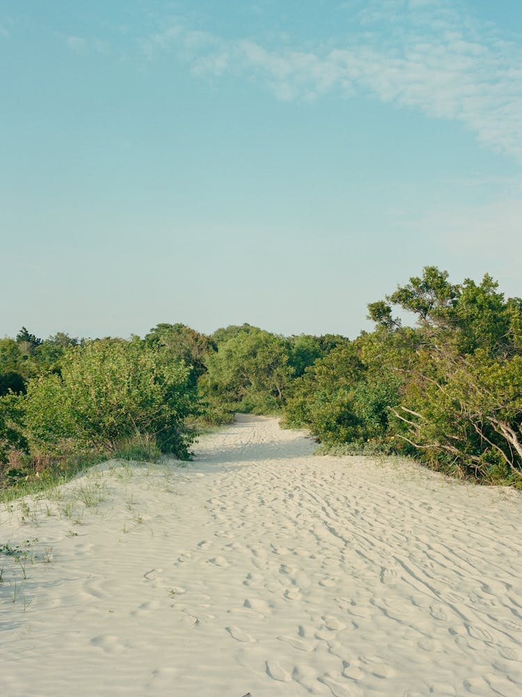 Sullivan's Island on Film