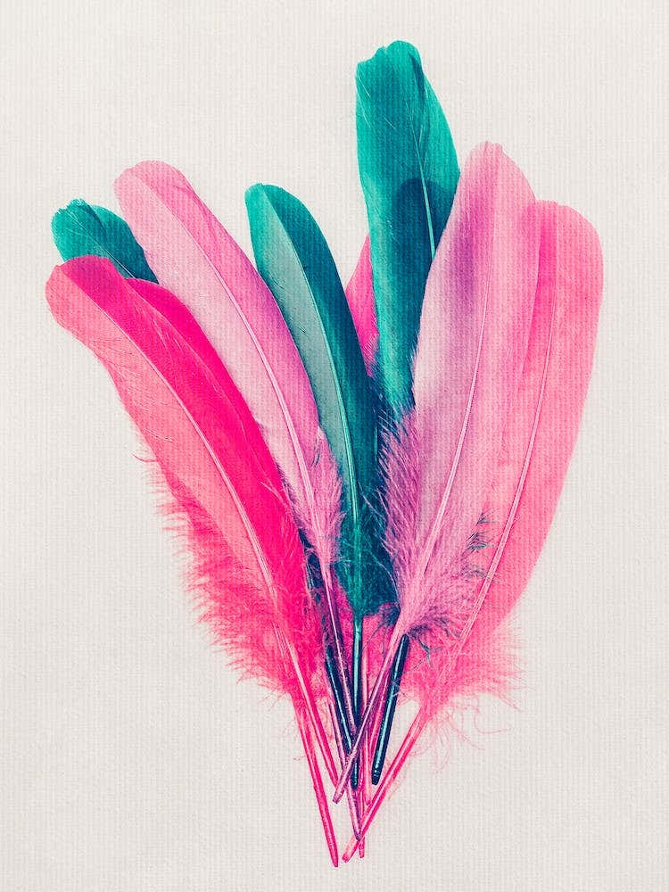 Feather Bouquet