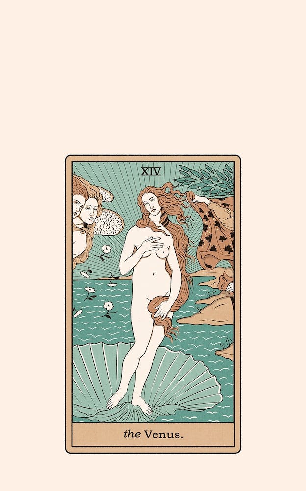 The Venus