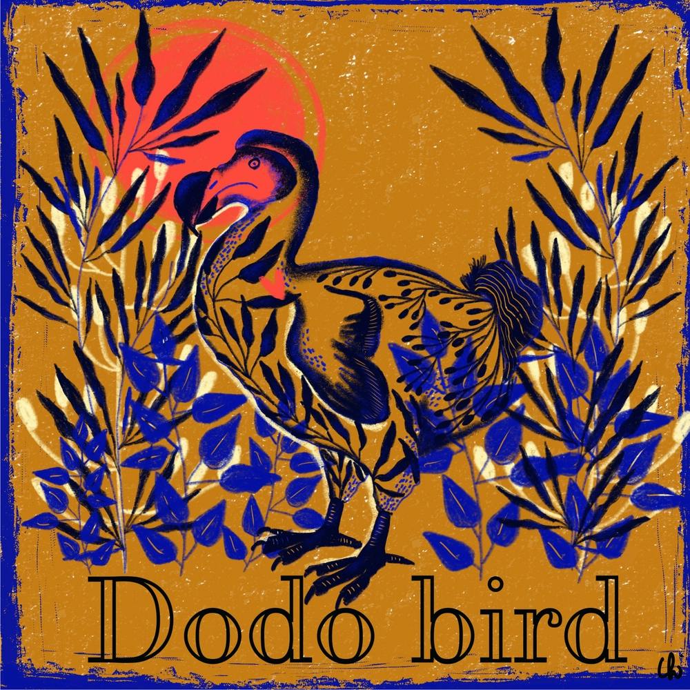 The Dodo Bird Square