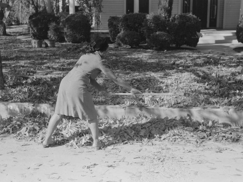 Untitled Photo, Possibly Related To Picking Up Pecans From Ground, San Angelo, Texas By Russell Lee