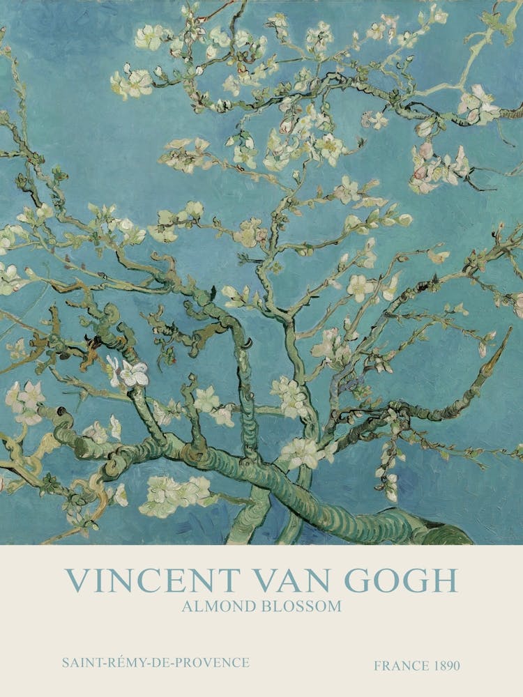 Vincent Van Gogh - Almond Blossom