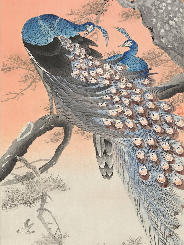 Two Peacocks On Tree Branch, Ohara Koson
