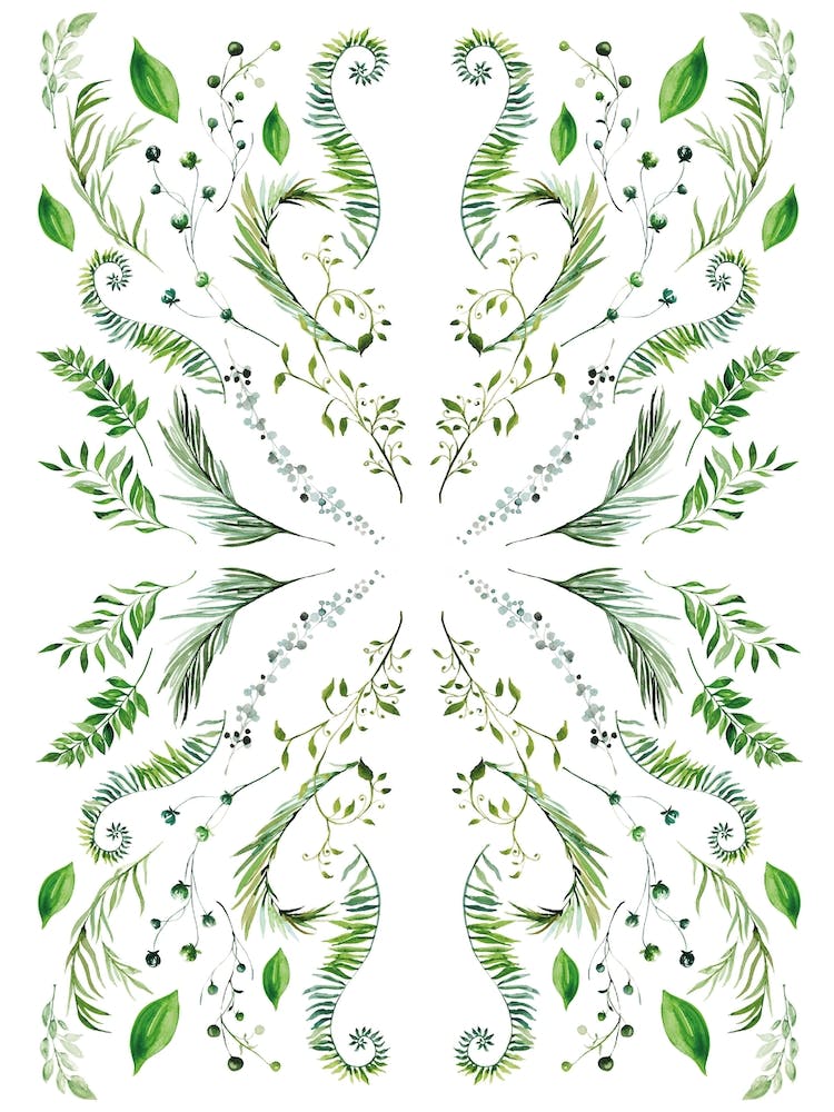 Mirrored Plants Exotic