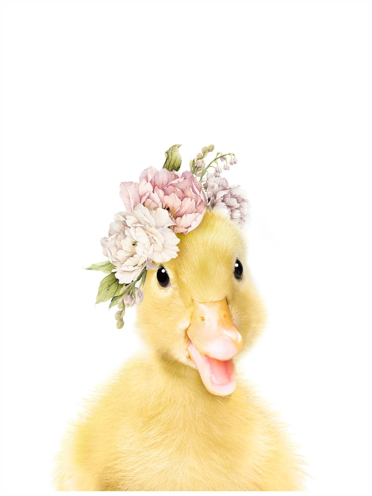 Peekaboo Floral Duck