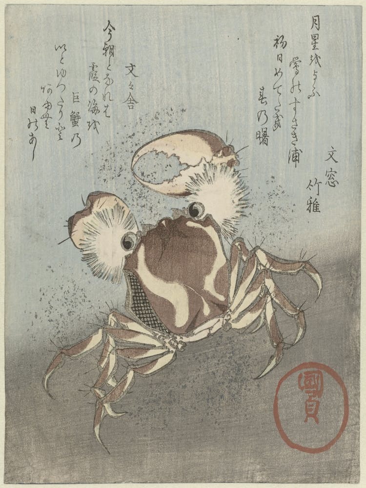 A Large Crab, With Open Pincers, Runs Along The Waterfront