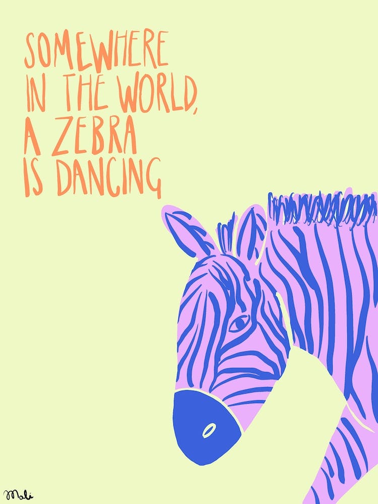 Dancing Zebra