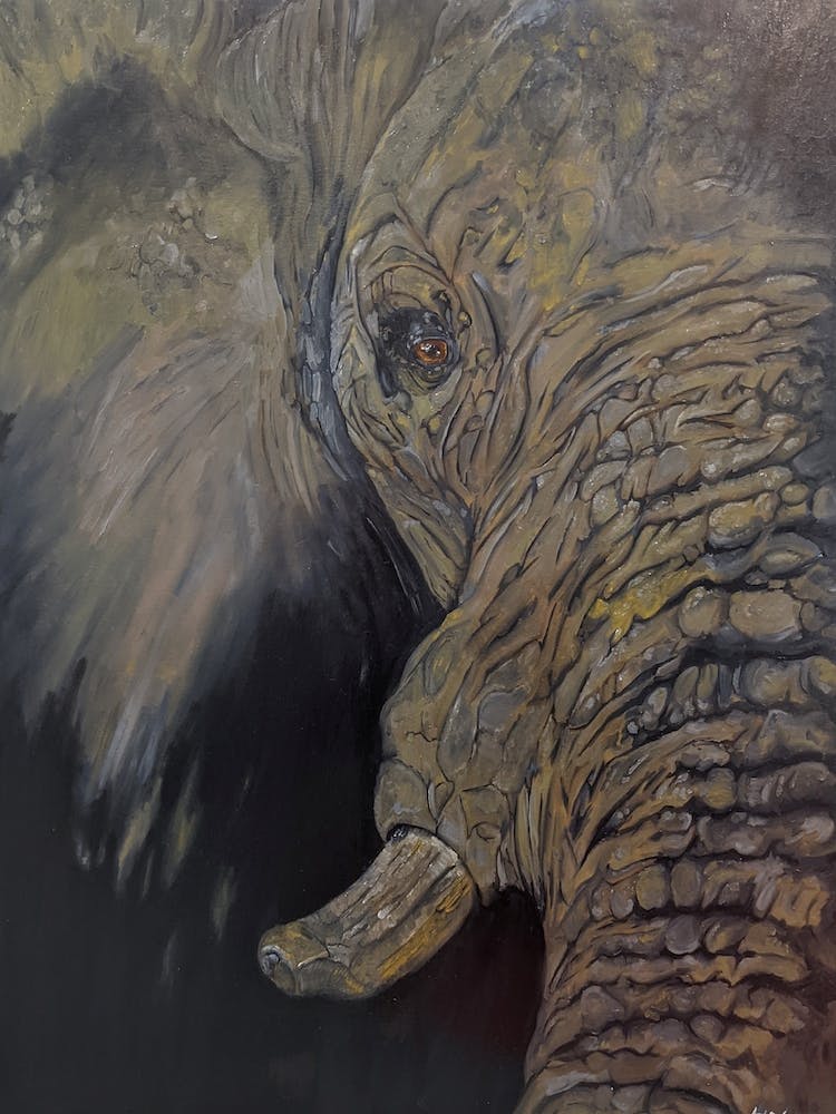 Elephant